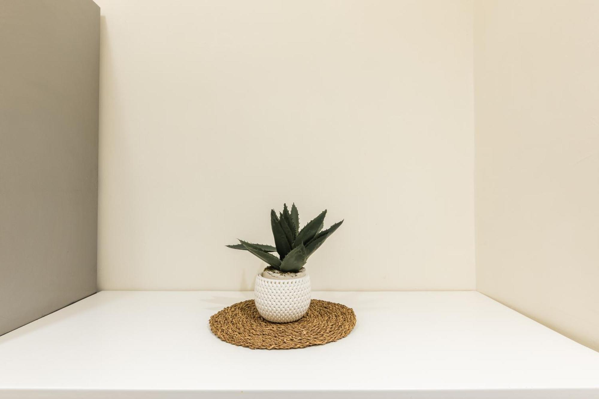 Appartamento Cozy Historical Flat *