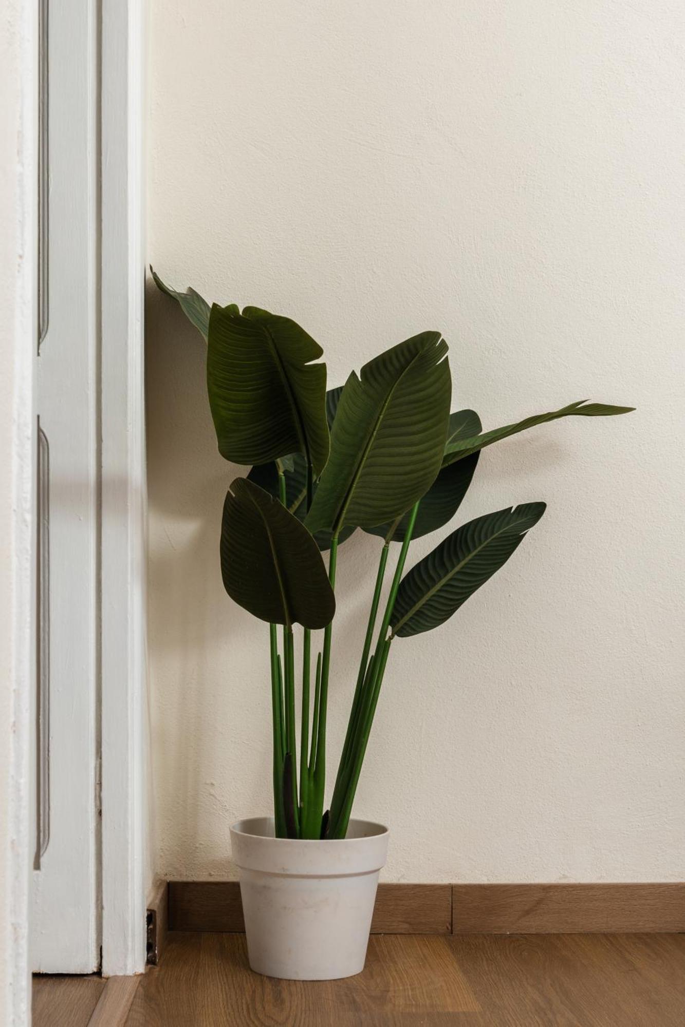 Cozy Historical Flat * Naples